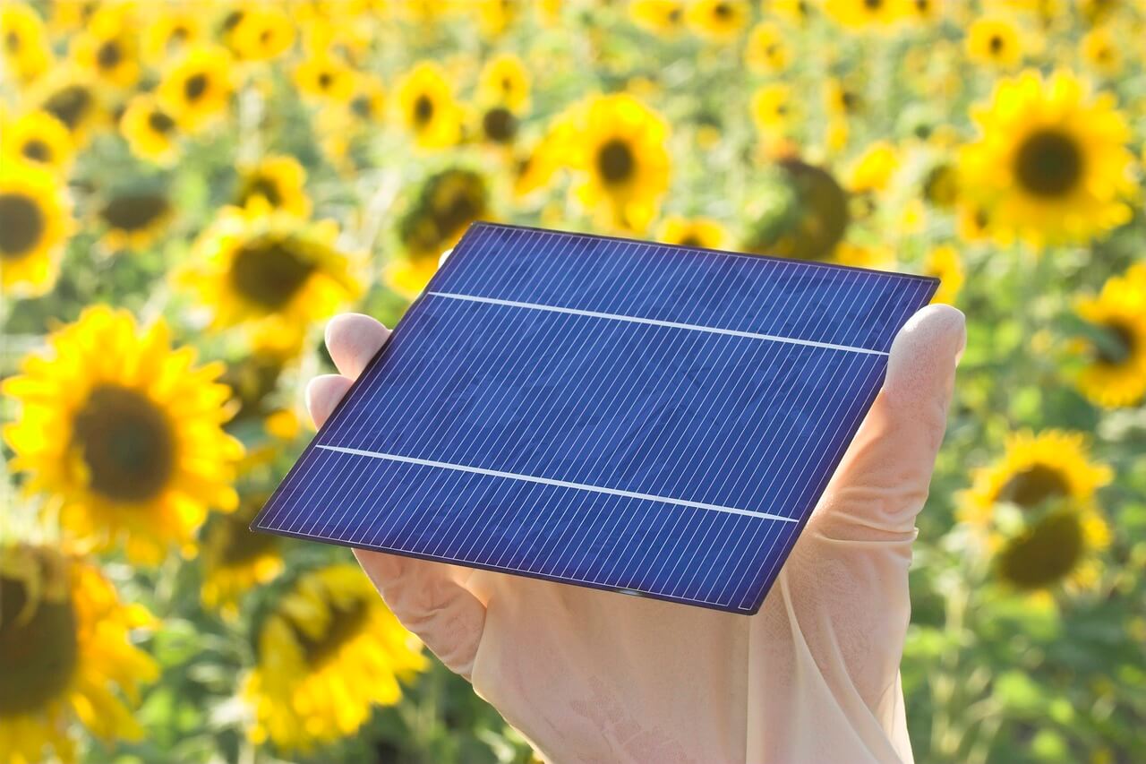 Unleash Savings: The Power of Solar Panels with Atlanta Tech Trends  !